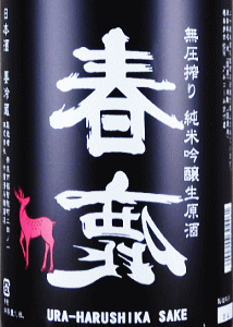 春鹿 純米吟醸 無圧搾り 中取り生原酒|今西清兵衛商店