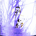 油長酒造|風の森 愛山 807