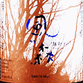 風の森 雄町 807|油長酒造