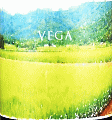 阿部酒造|VEGA