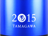 ؉𑢁bTAMAGAWA 2015