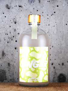 GINGER|LIBROM