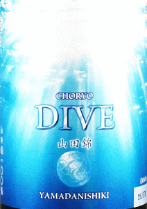 長龍 DIVE 山田錦 純米原酒|長龍酒造