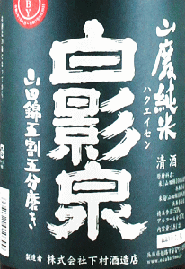 白影泉 山廃純米 山田錦五割五磨き｜下村酒蔵店