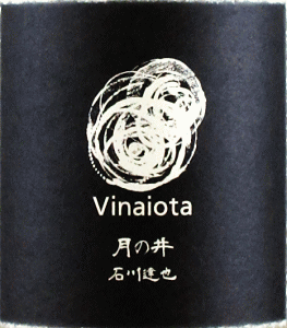 ̈ ƏČ Vinaiotab̈𑢓X